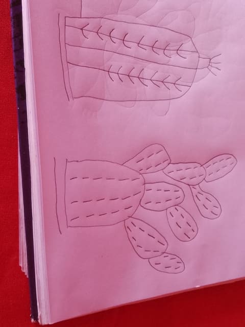 Desenhos a lápis de cactos, um mandacaru e uma palma, num caderno: o risco antes do bordado.